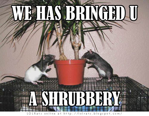 Shrubbery for the Knight