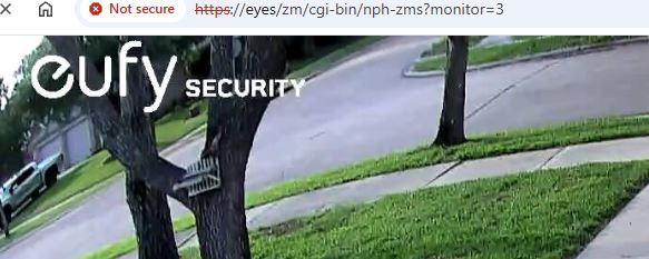 zm web