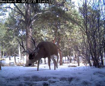 00041-capture.jpg